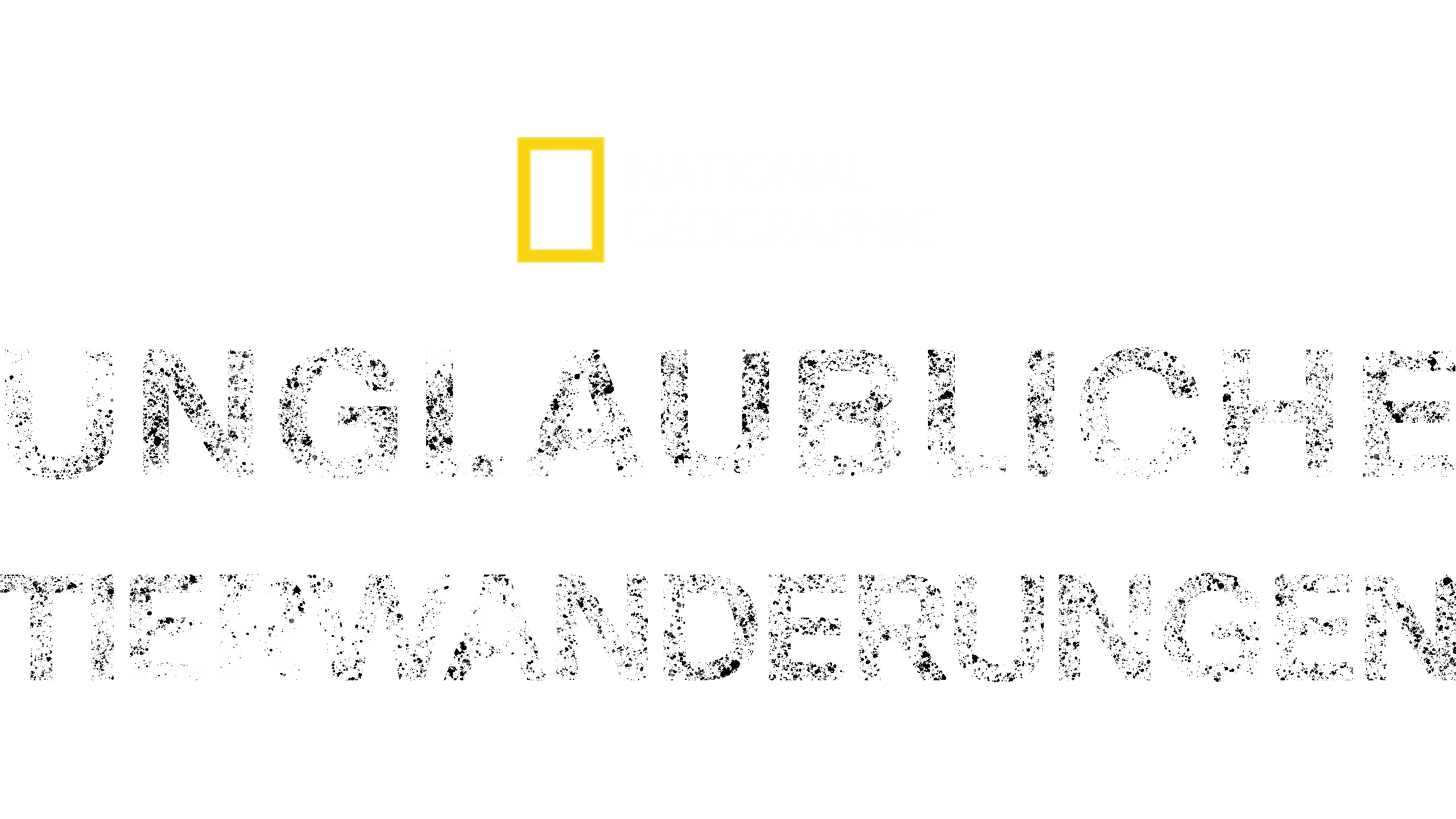 Unglaubliche Tierwanderungen