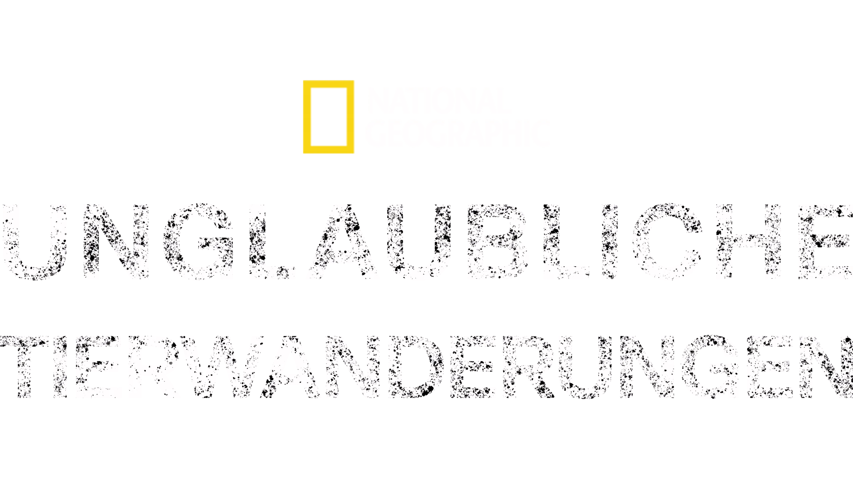 Unglaubliche Tierwanderungen