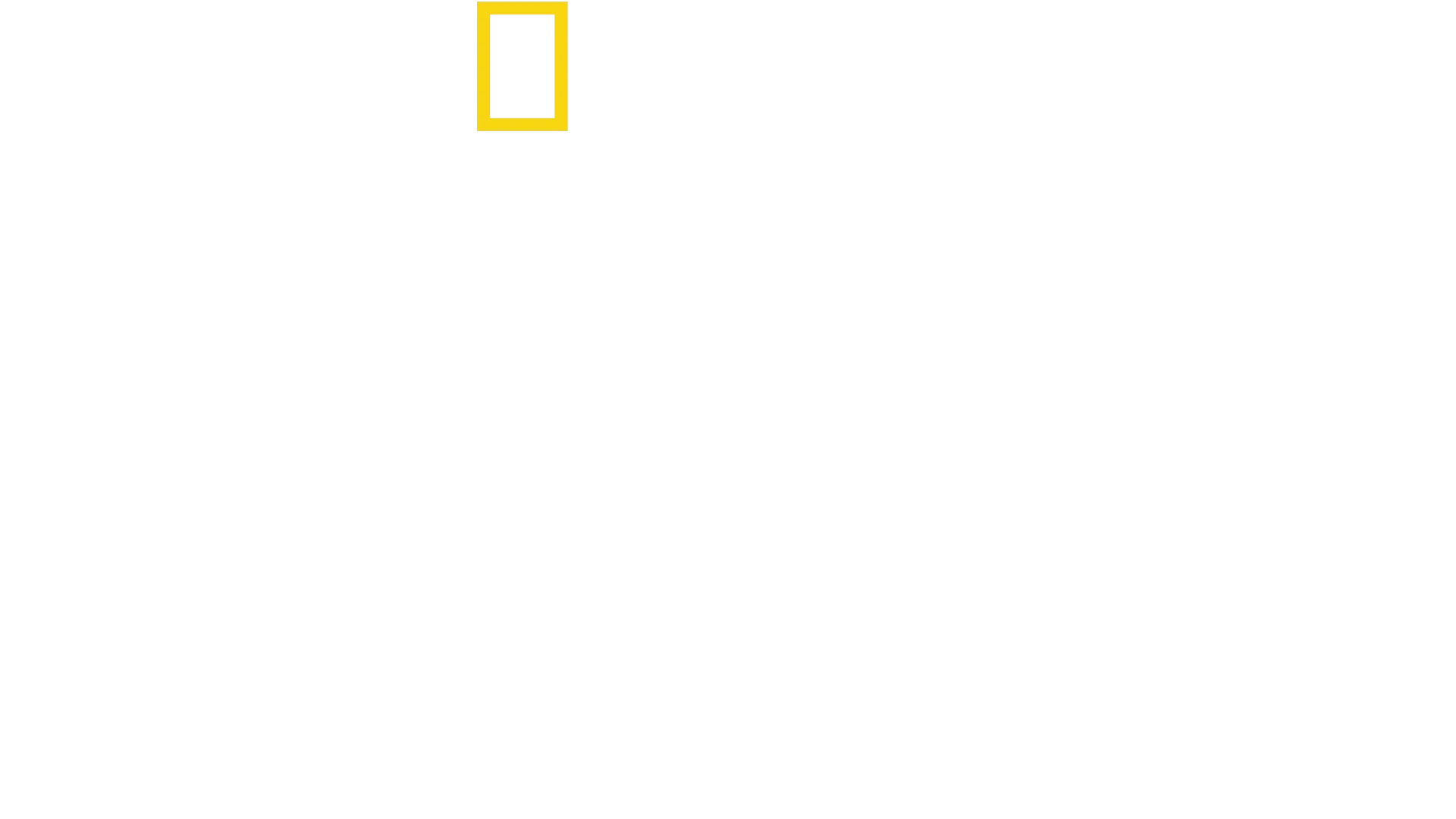 Perdido na Selva