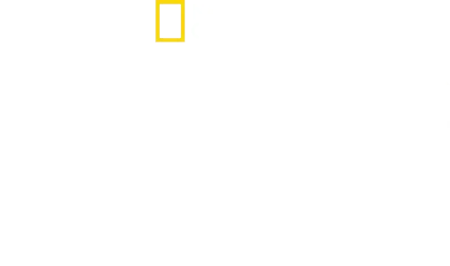 Perdido na Selva