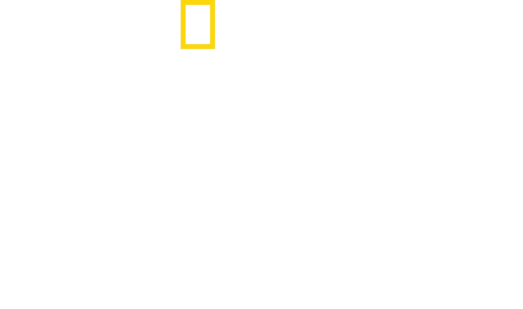 Perdido na Selva
