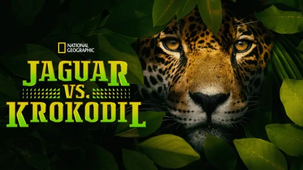 thumbnail - Jaguar vs. Croc