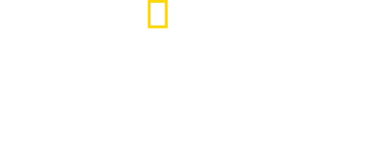 极速工厂