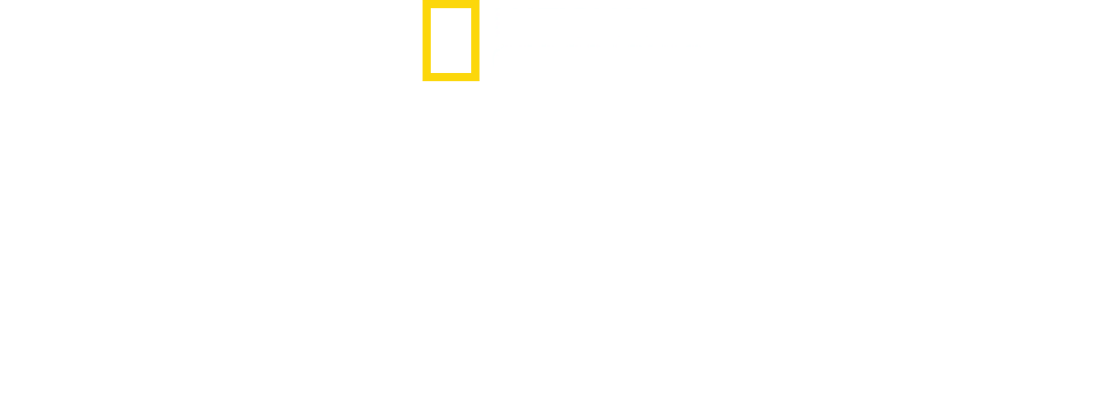 极速工厂