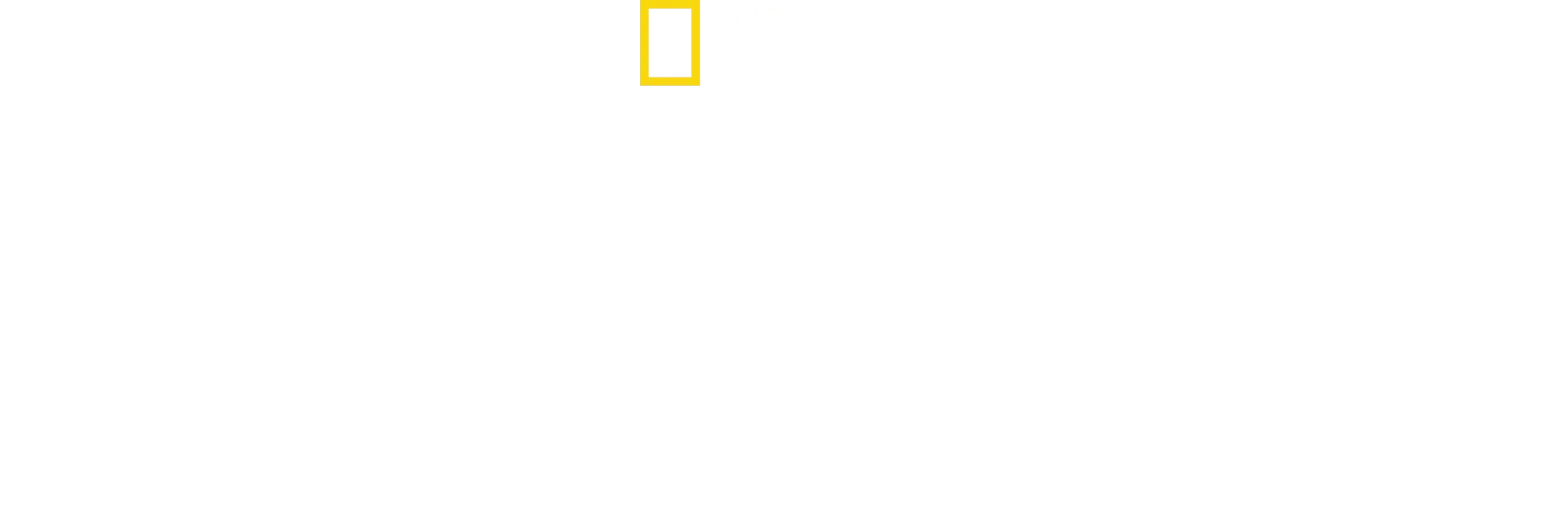 Dawn Of The Nazis