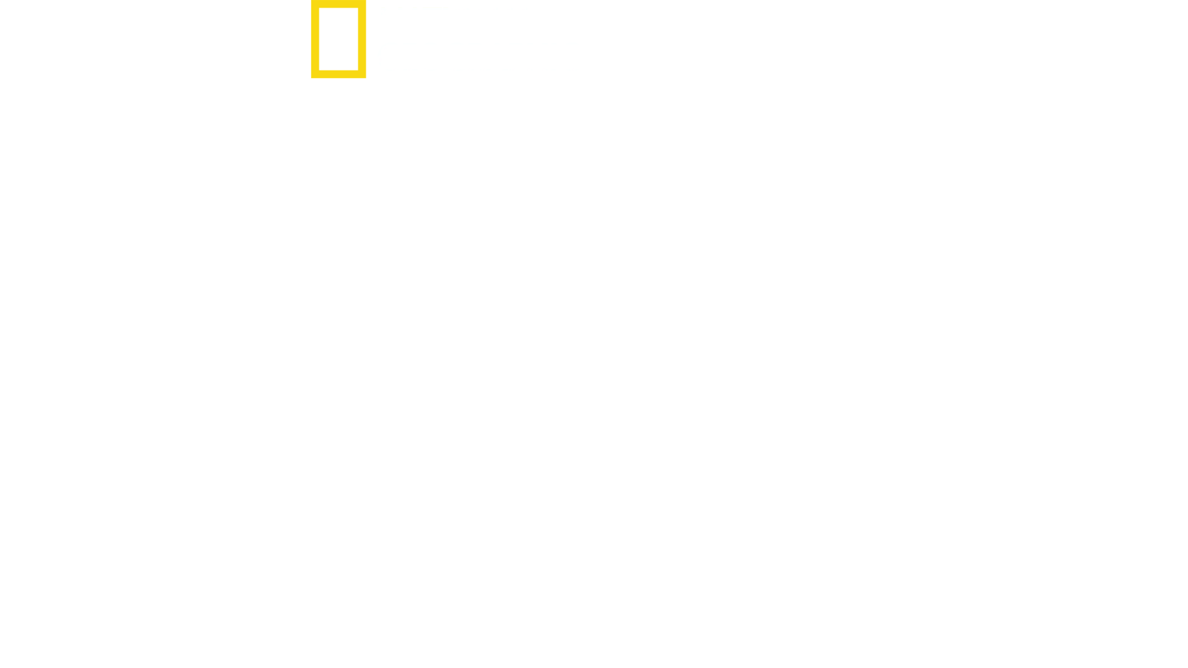 와일드 옐로스톤