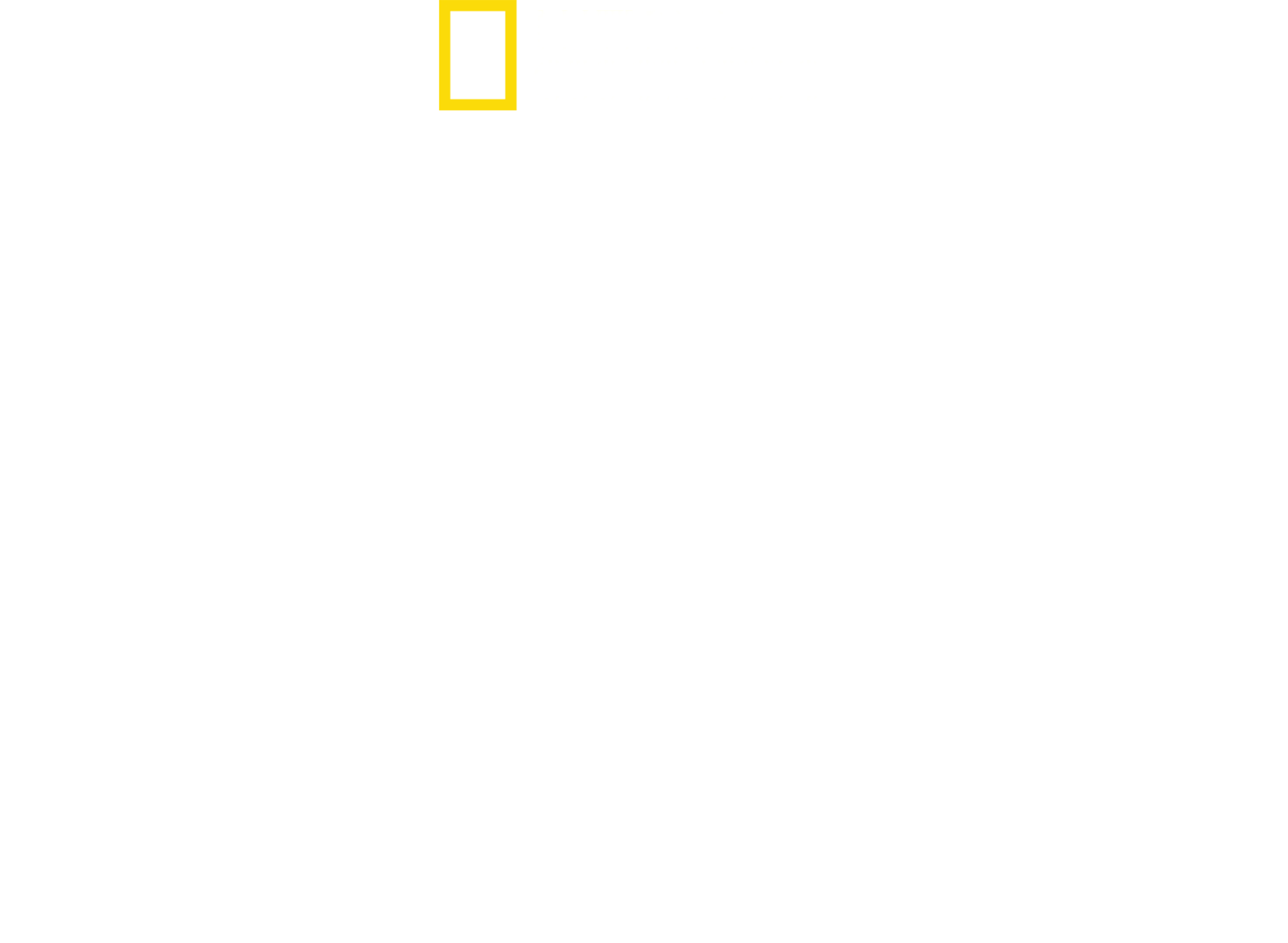 와일드 옐로스톤