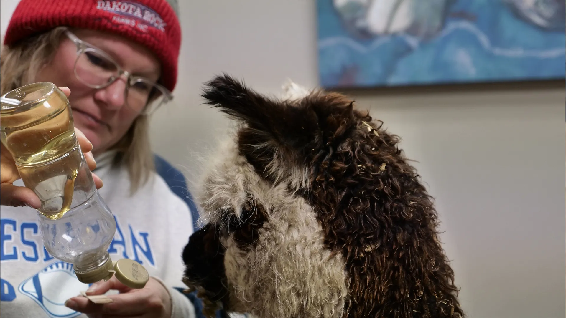 thumbnail - S5:E9 A Winter Wound-er Land
