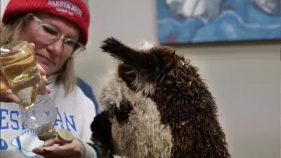 thumbnail - S5:E9 A Winter Wound-er Land