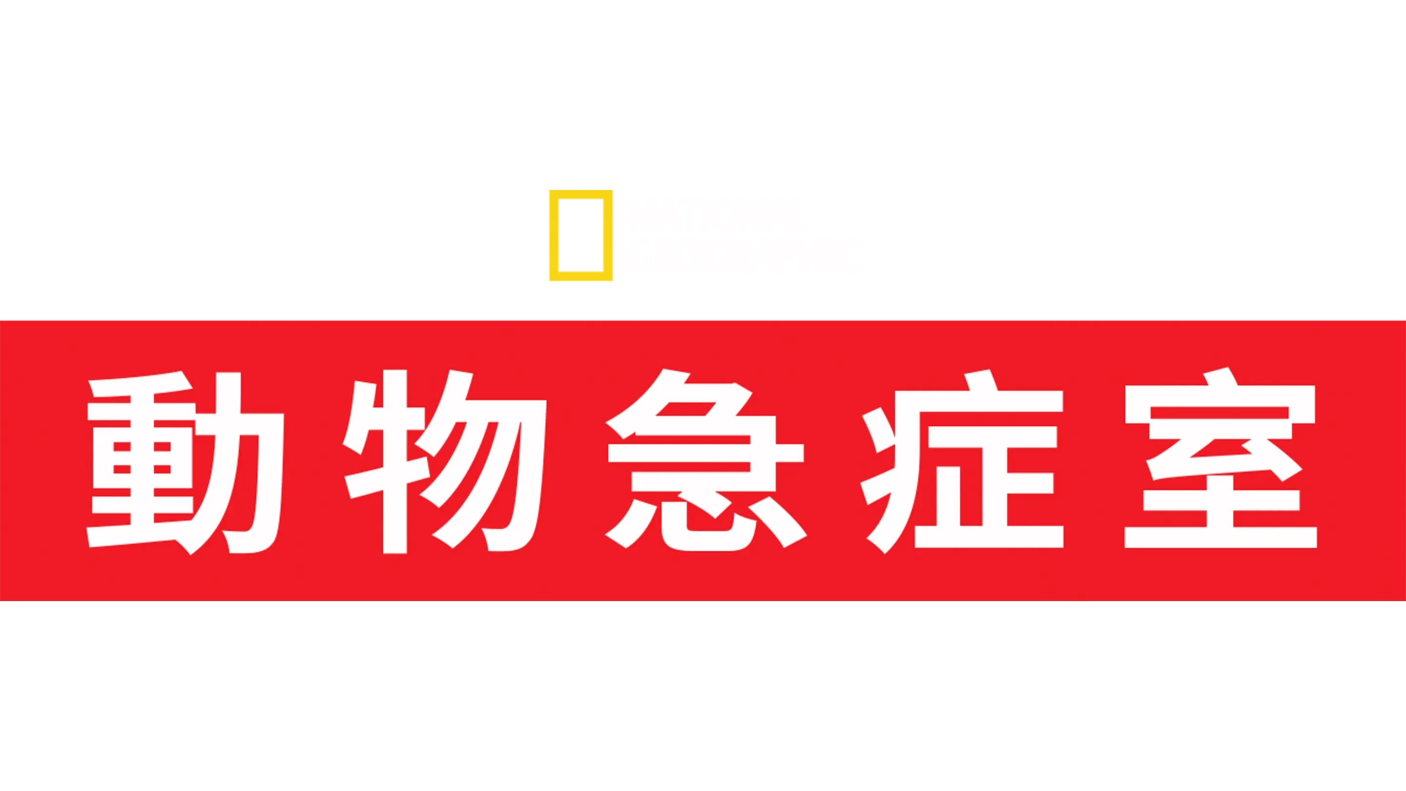 動物急症室