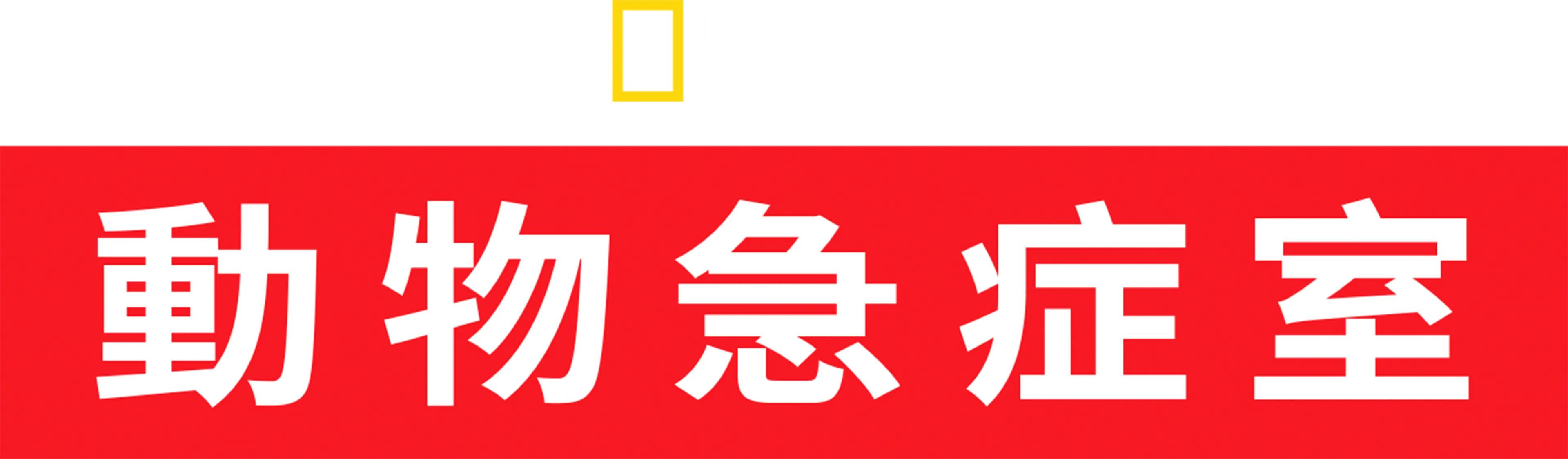 動物急症室