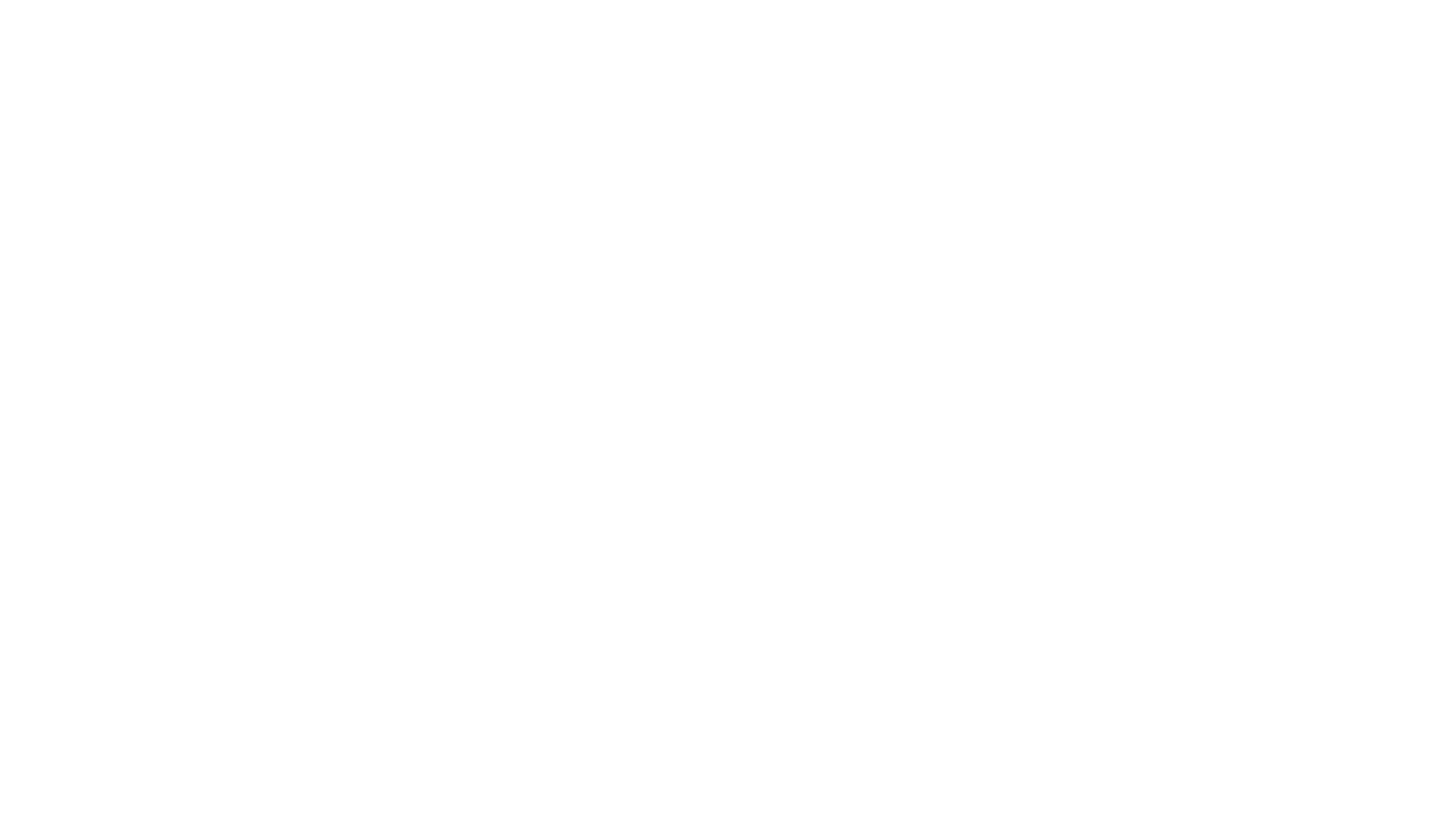 Antidisturbios