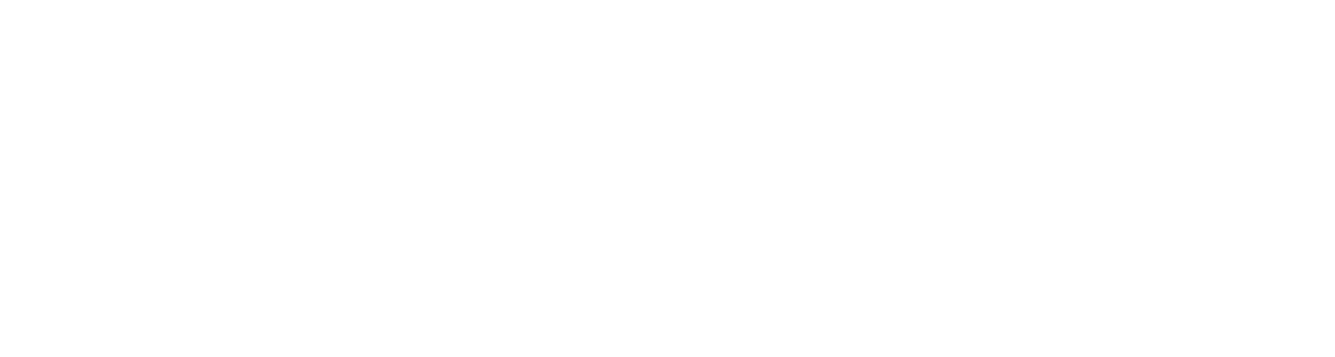 Antidisturbios