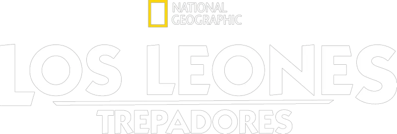 Los leones trepadores