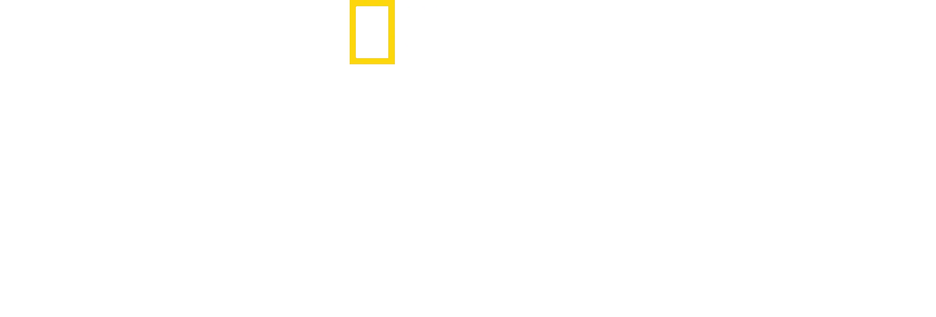 Los leones trepadores
