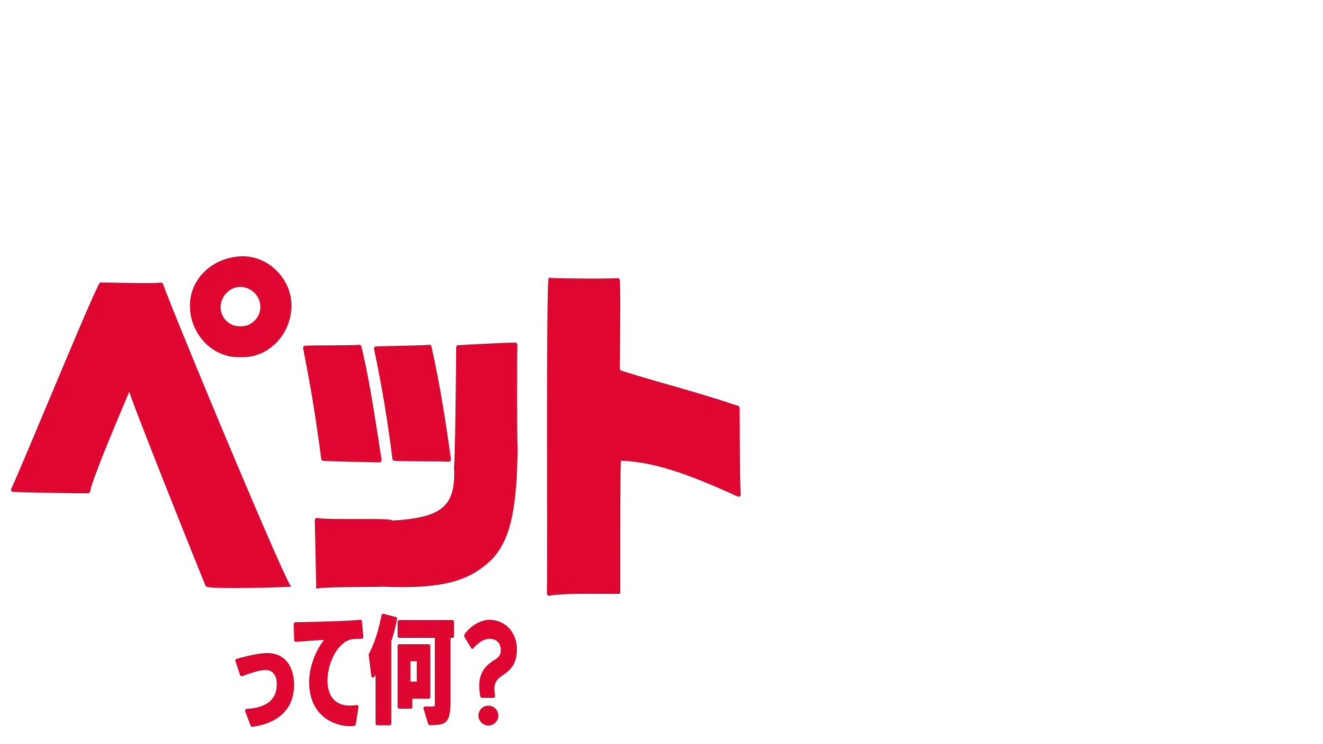 フォーキーのコレって何？：ペットって何？