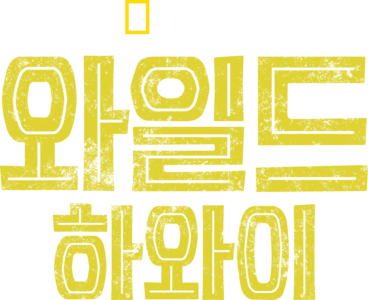 와일드 하와이