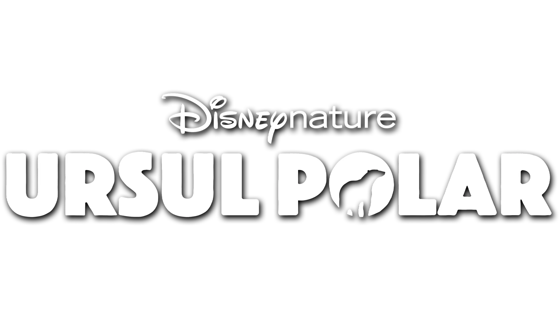 Ursul Polar