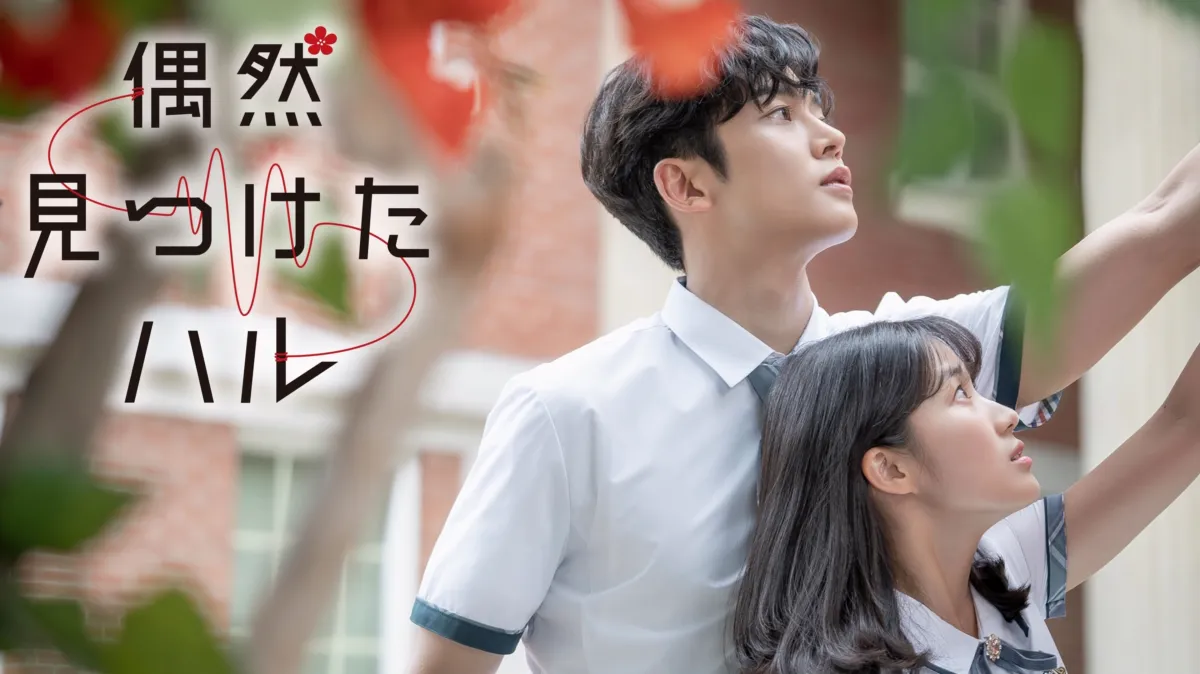 偶然見つけたハル 偶然見つけたハル (韓国・中国ドラマ) | 無料動画・見逃し配信を