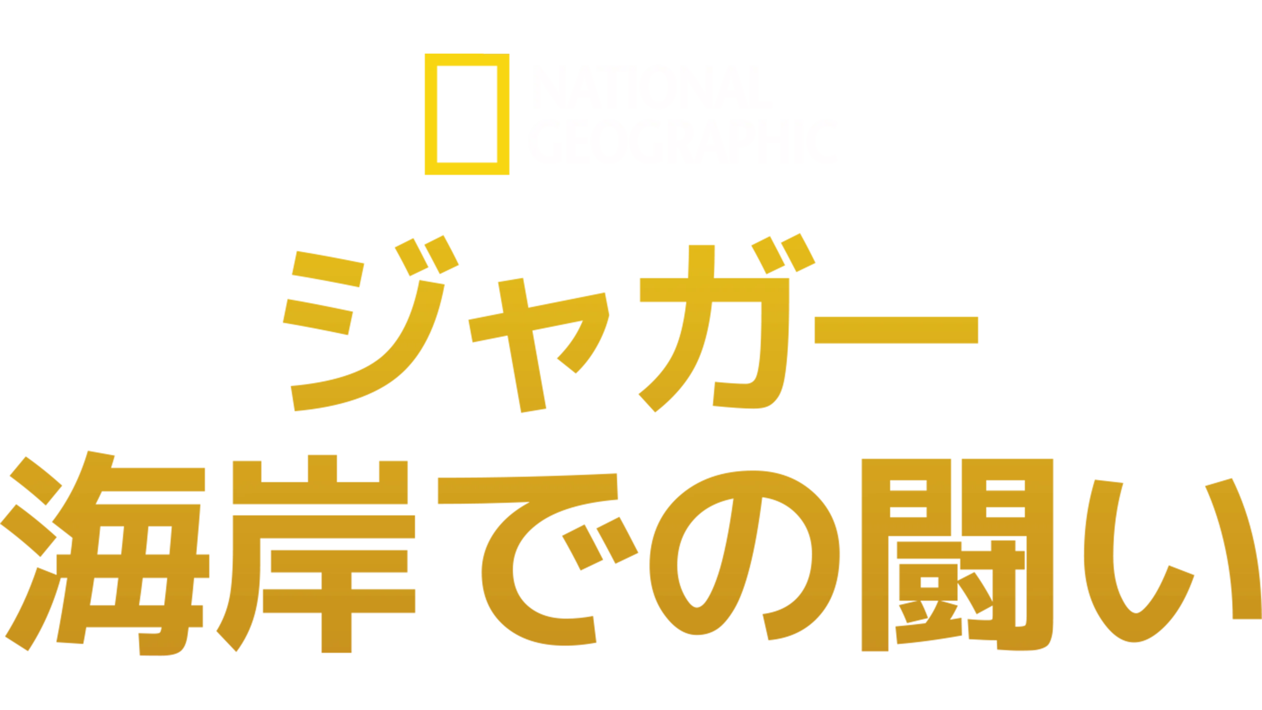 ジャガー：海岸での闘い