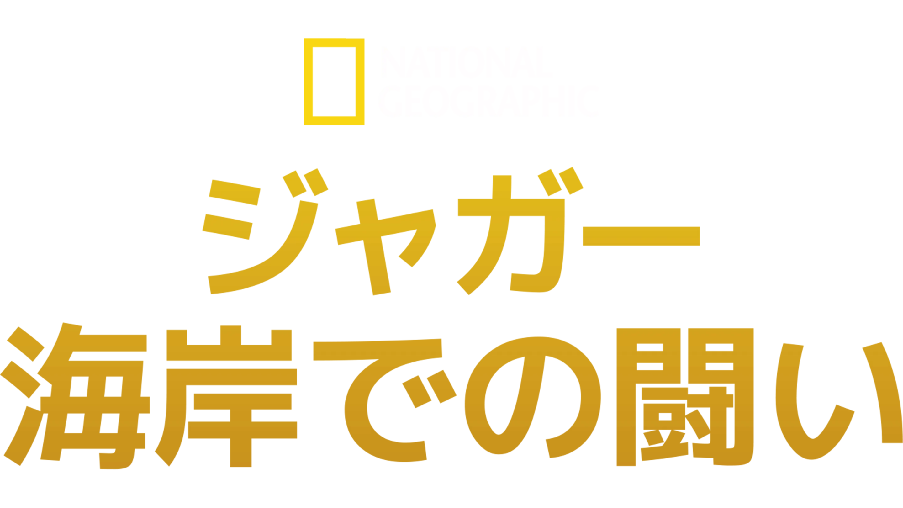 ジャガー：海岸での闘い