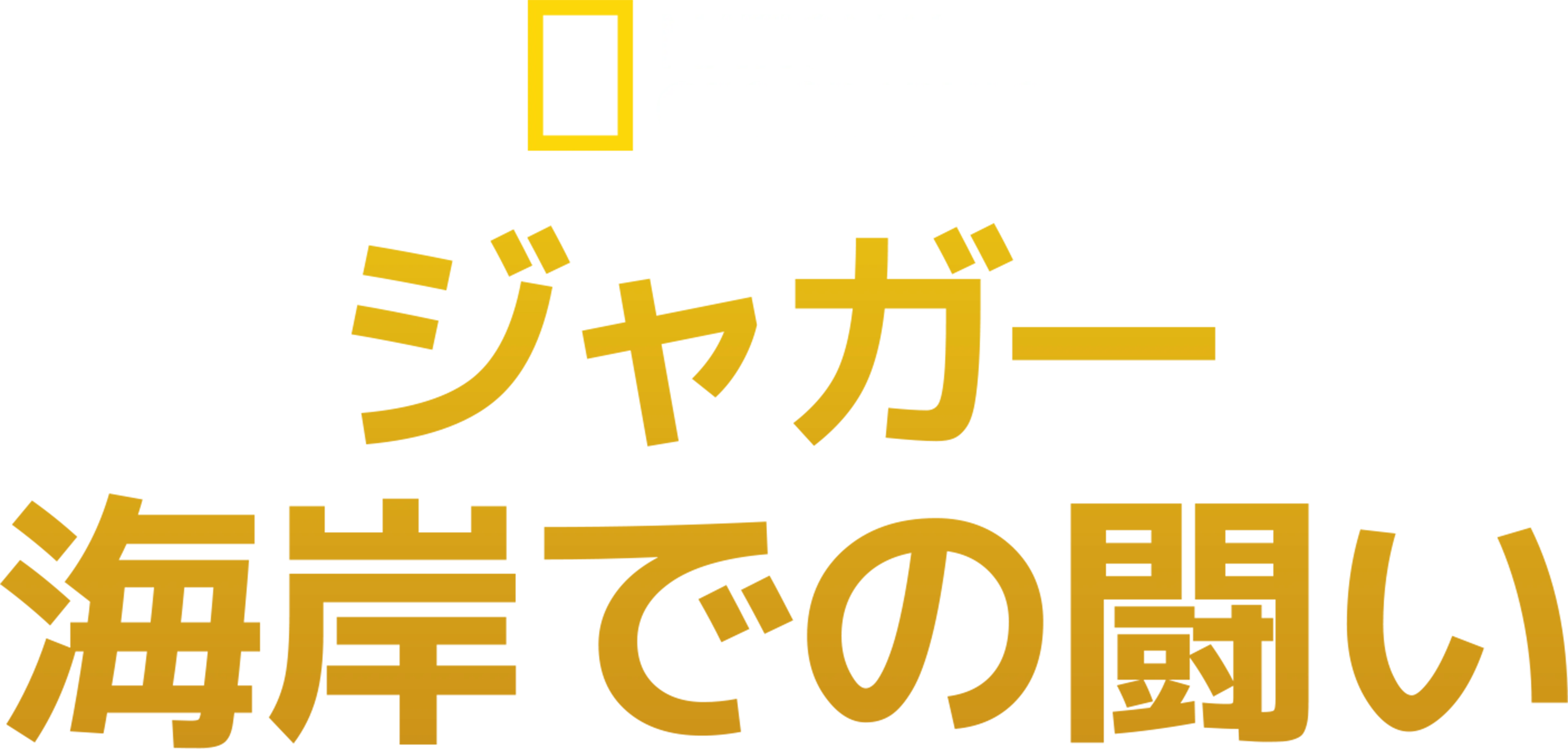 ジャガー：海岸での闘い