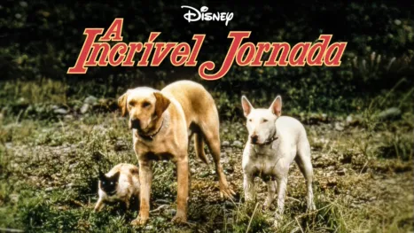 thumbnail - A Incrível Jornada