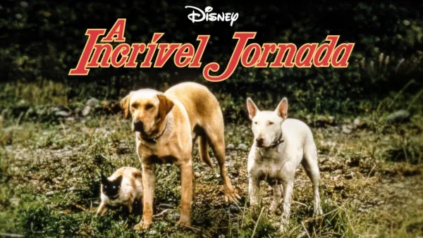 thumbnail - A Incrível Jornada