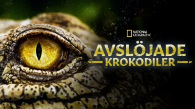 Avslöjade krokodiler