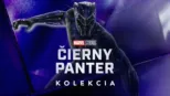 thumbnail - Čierny panter