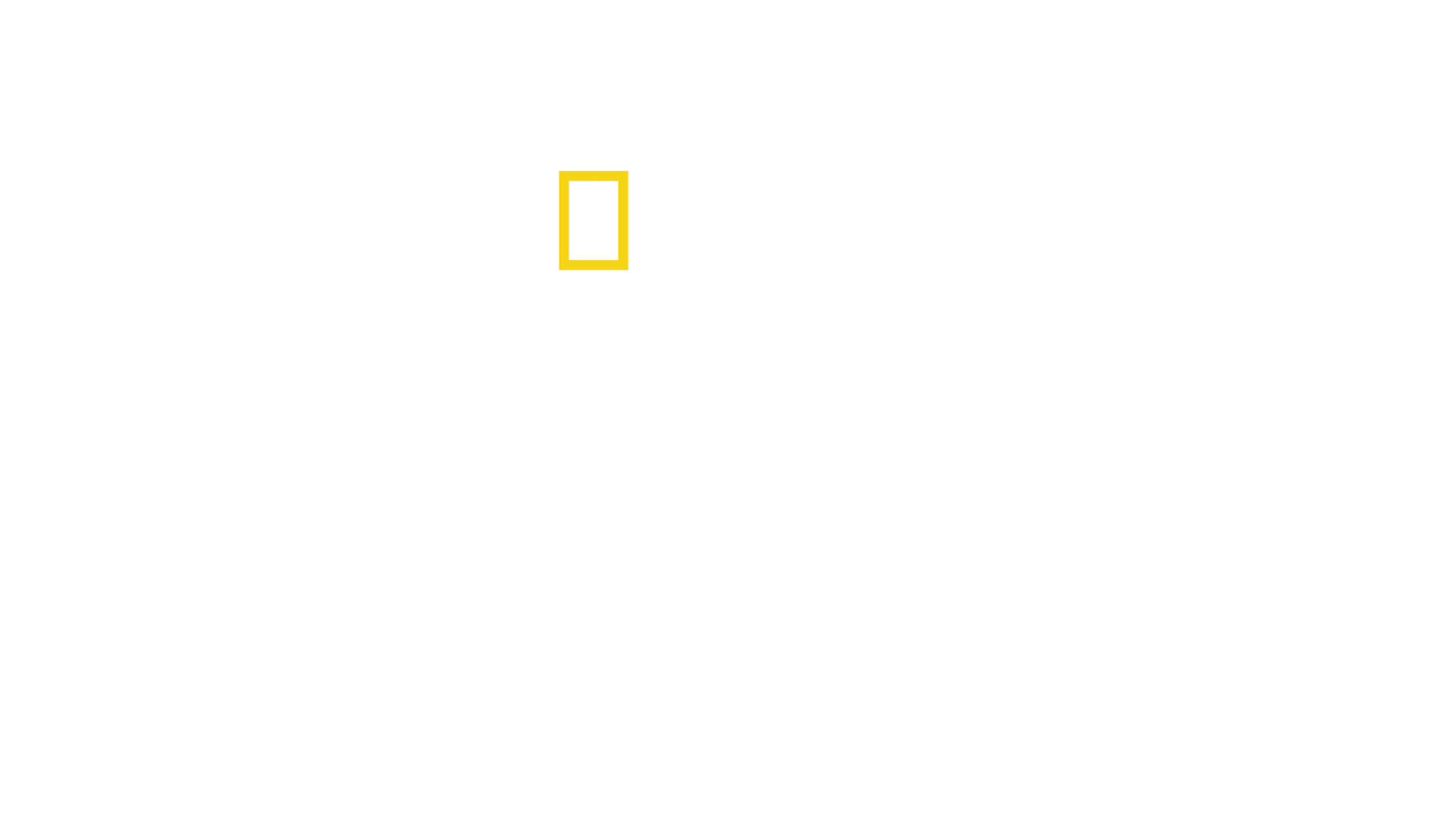 Katasztrófák testközelből