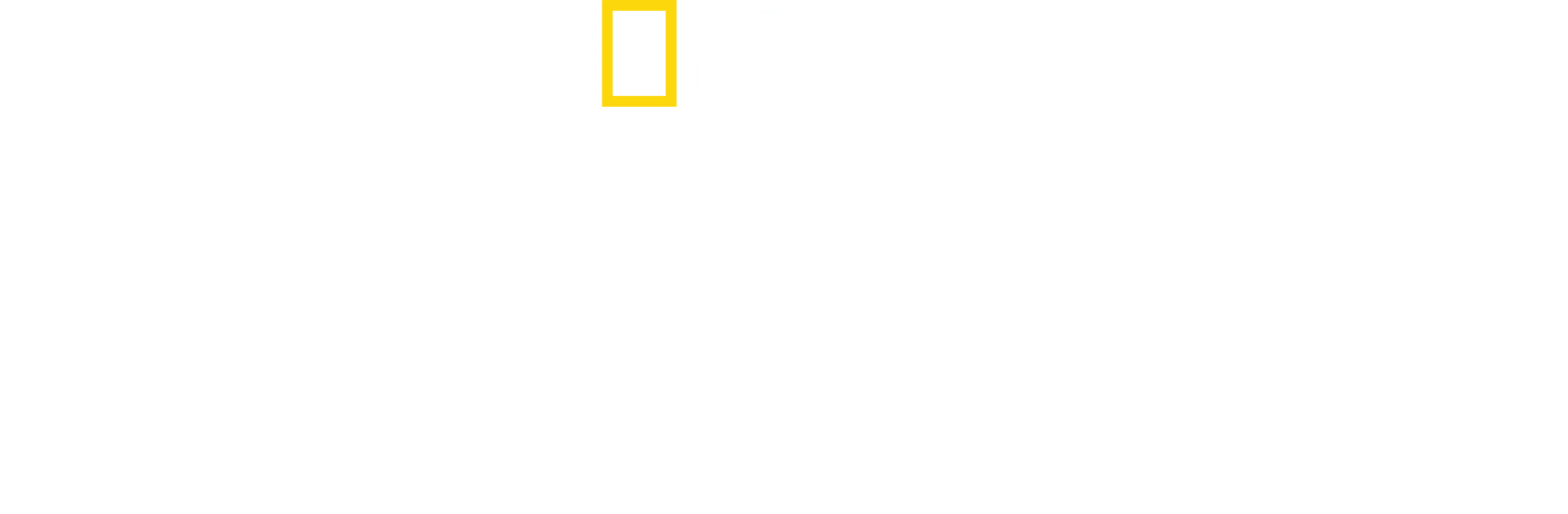 Katasztrófák testközelből