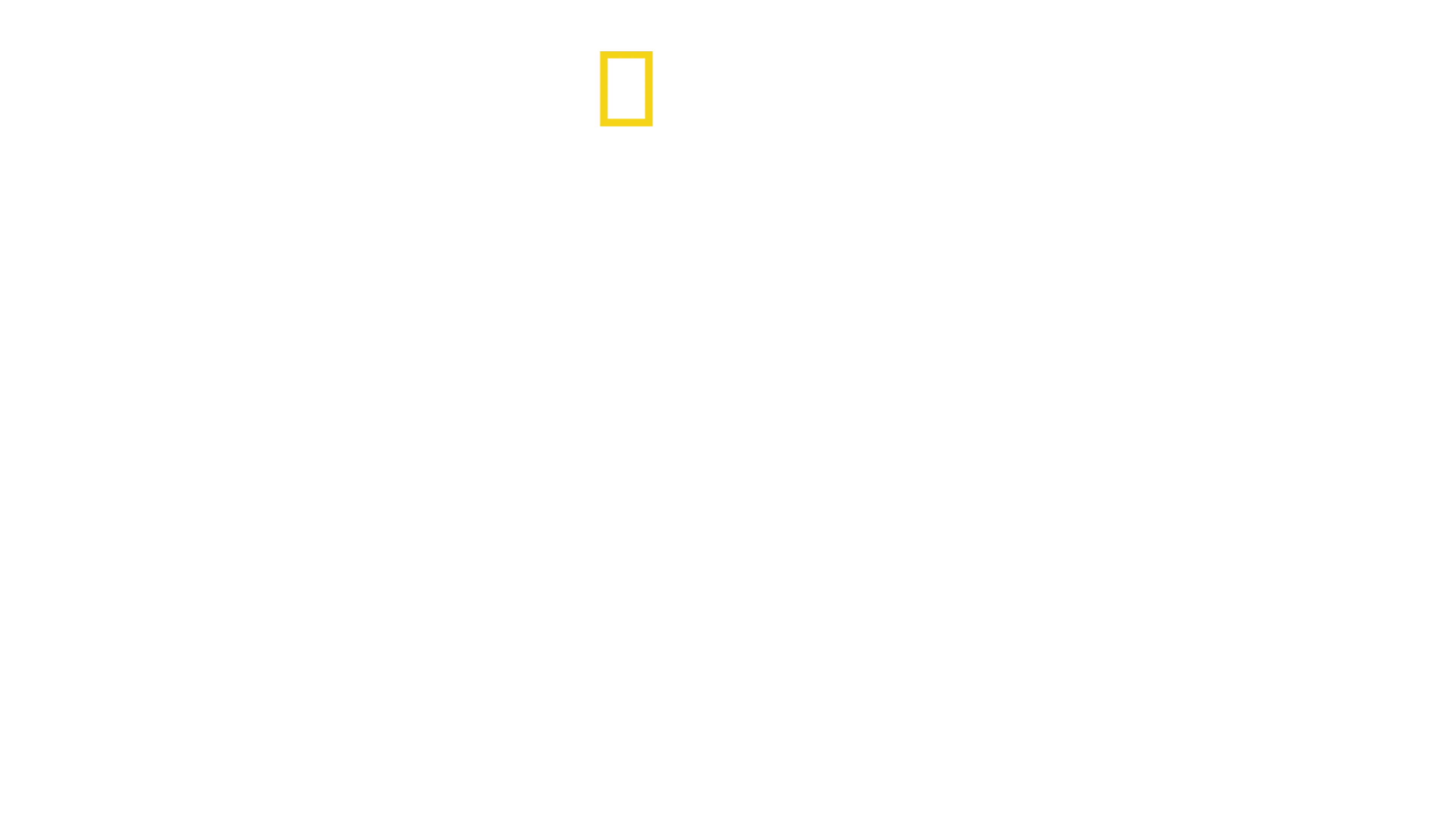 Squalo Toro vs. Squalo Martello