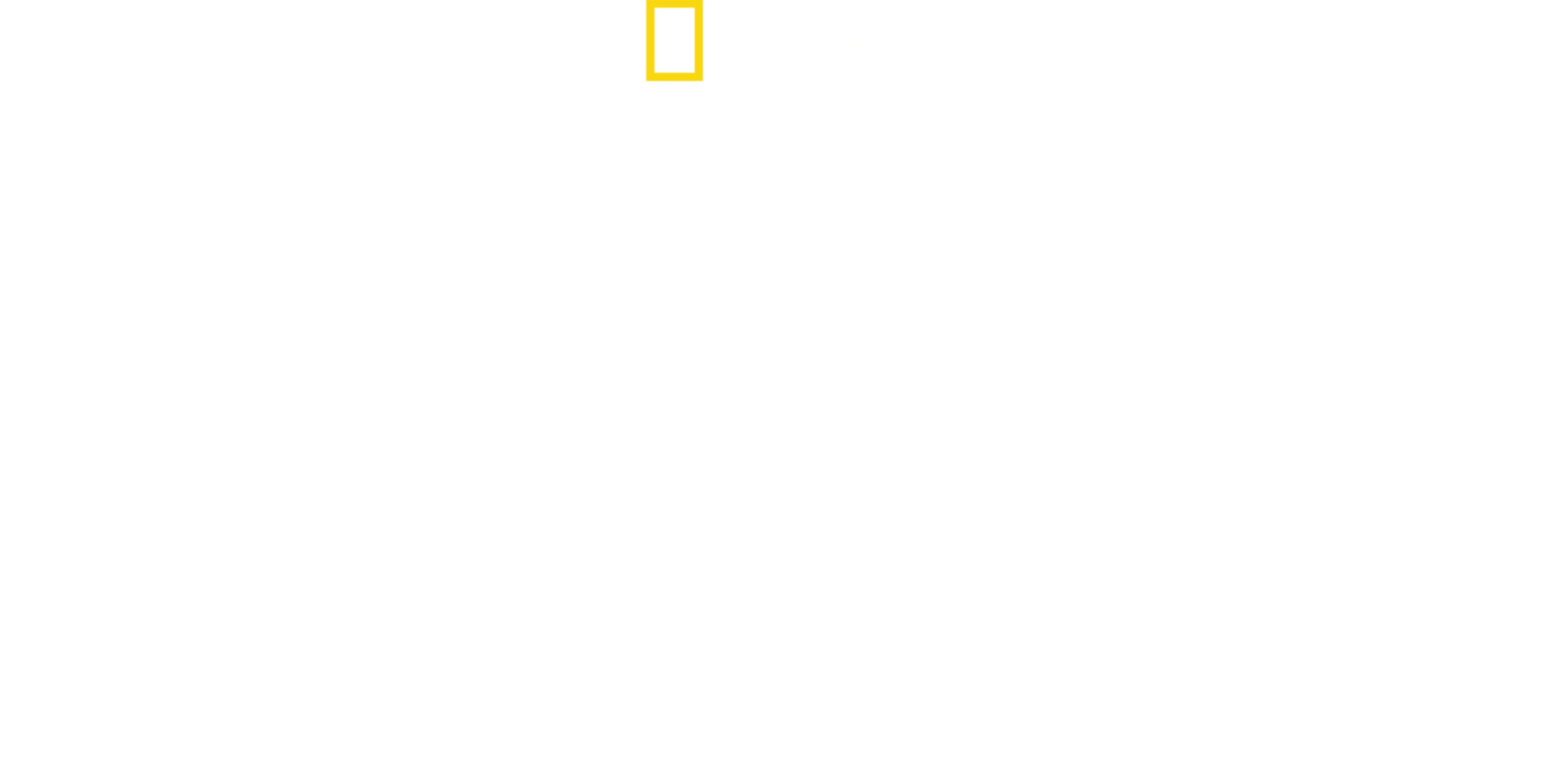 Squalo Toro vs. Squalo Martello