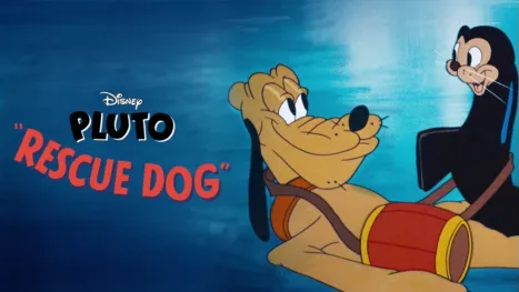 thumbnail - Cane da salvataggio