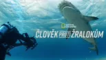 thumbnail - Člověk proti žralokům