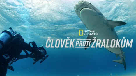 thumbnail - Člověk proti žralokům