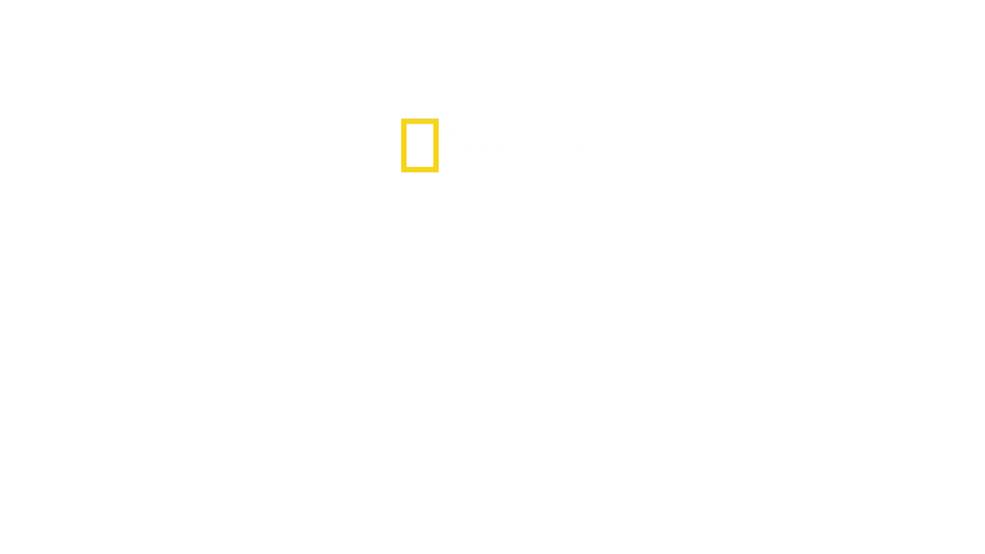 Underworld, Inc.