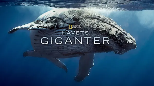 thumbnail - Havets giganter
