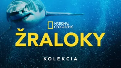 thumbnail - National Geographic – žraloky