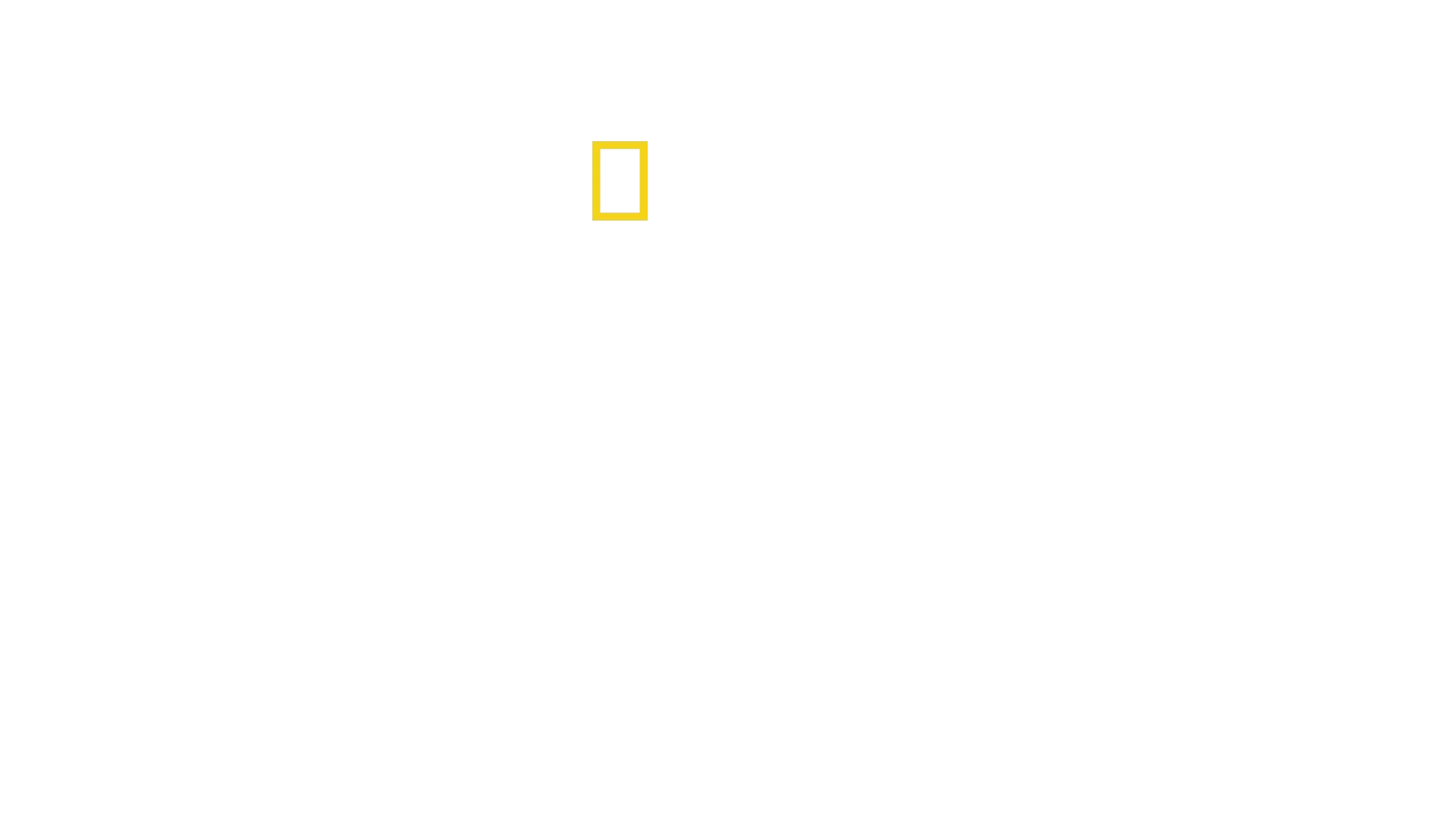 Drugs, Inc.: Dealer Pov