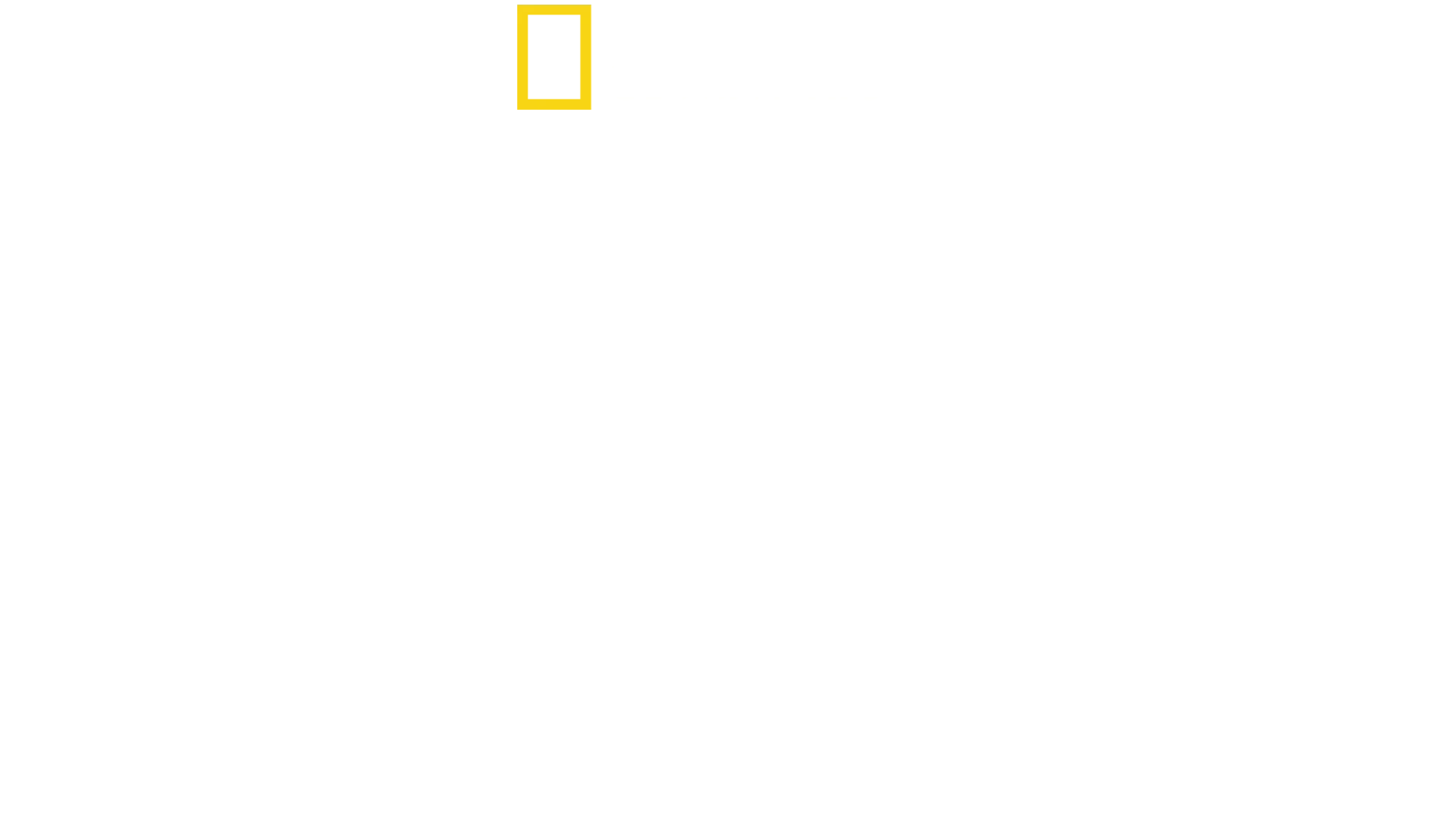 무언가에 물렸어요!