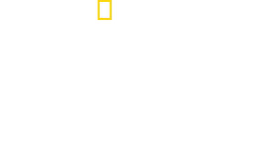 무언가에 물렸어요!