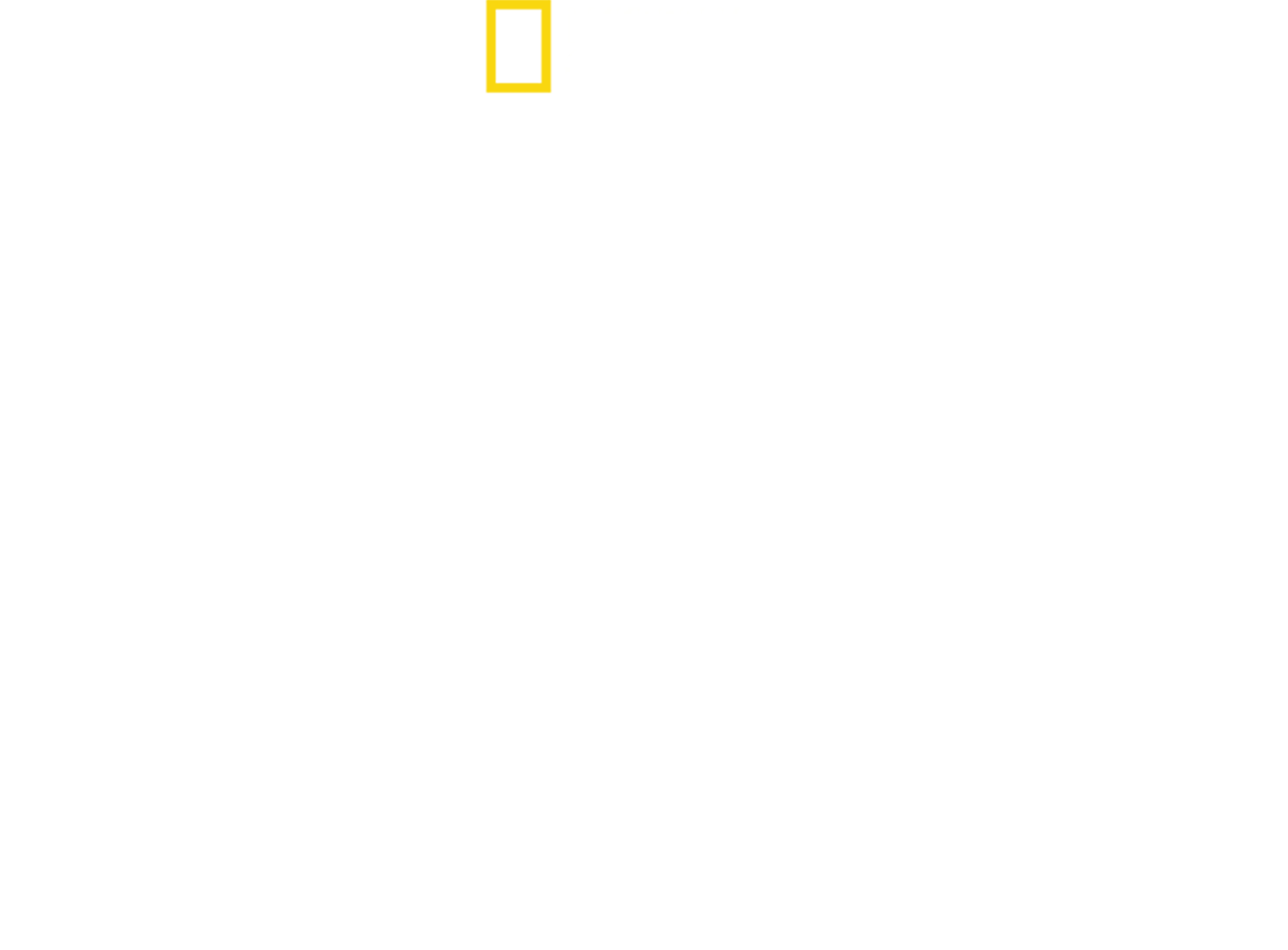 Shark Eat Shark