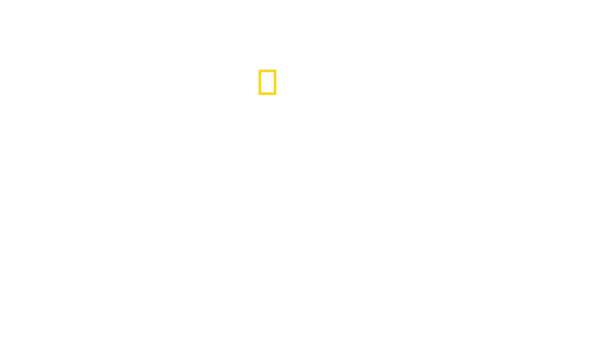 Vol miracle au-dessus de l'Hudson