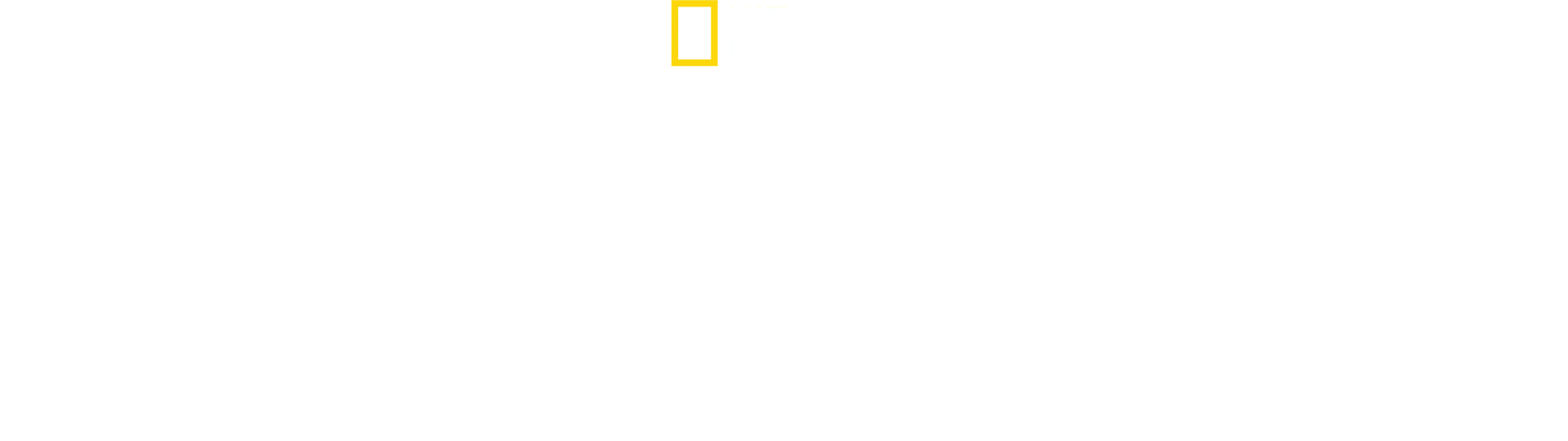 Vol miracle au-dessus de l'Hudson