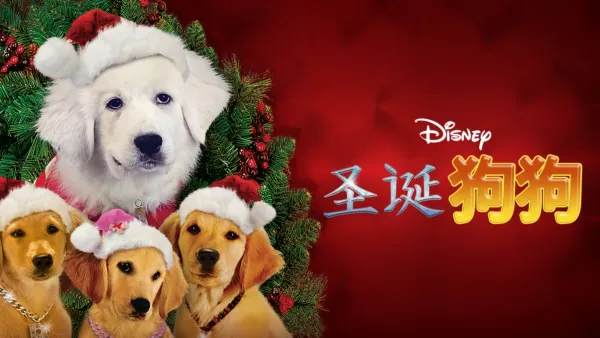 thumbnail - 圣诞狗狗