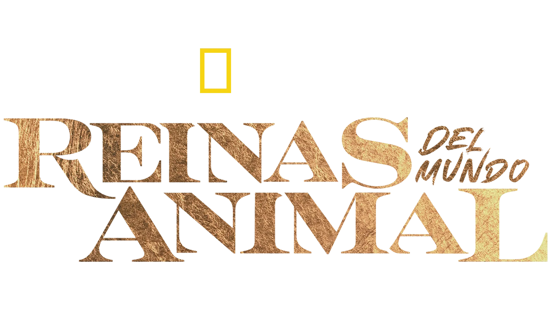 Reinas del mundo animal