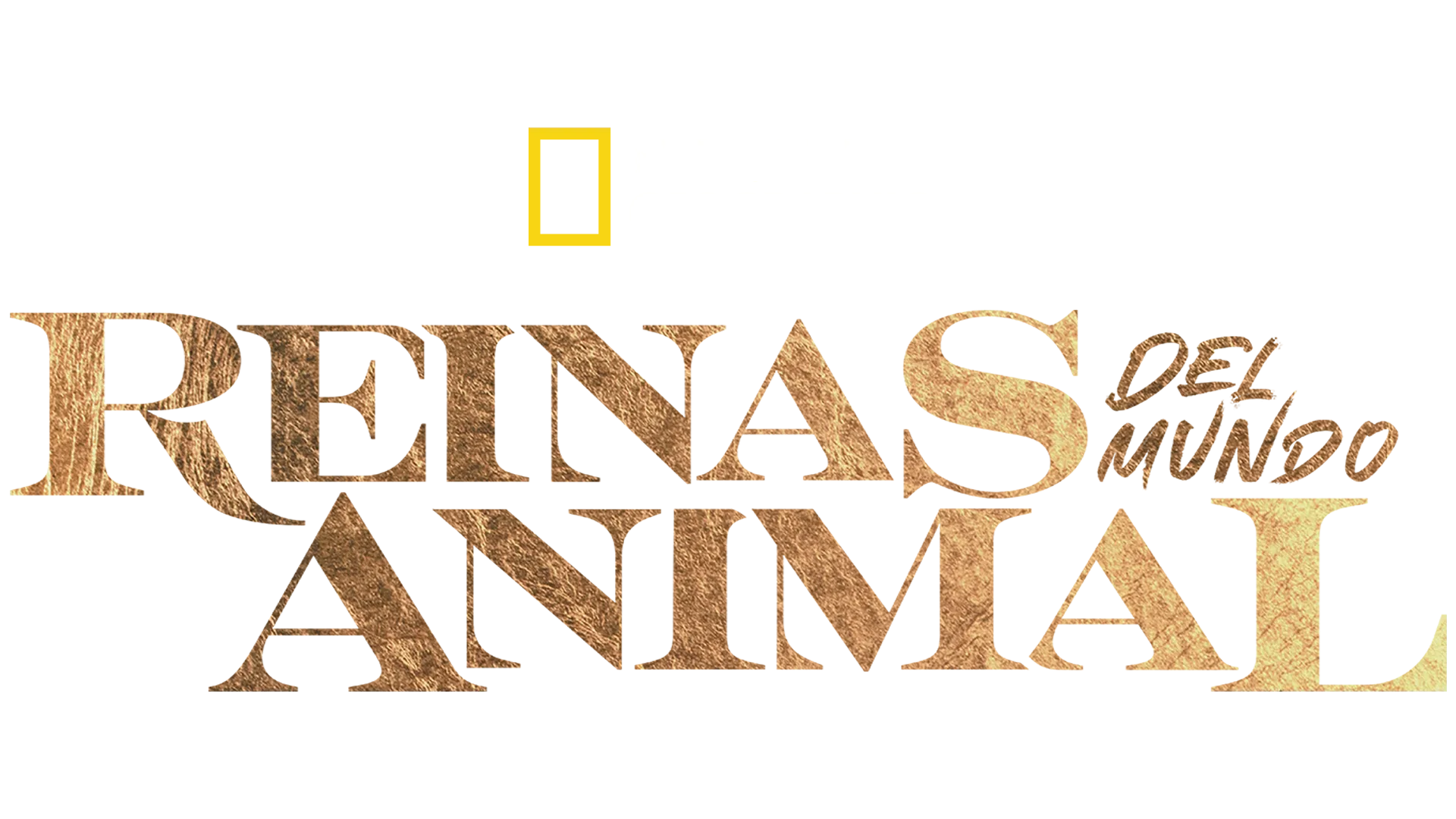 Reinas del mundo animal