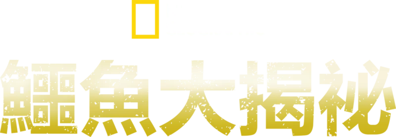 鱷魚大揭祕